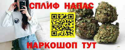 мдпв Ливны
