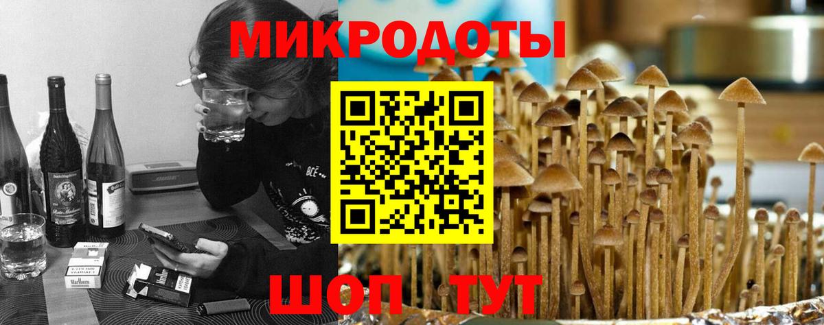 цена   Псилоцибиновые грибы GOLDEN TEACHER  Галлюциногенные грибы прущие грибы  Вход с VPN  Екатеринбург 